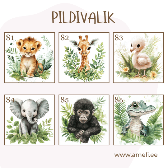 Puidust rahakassa - Pilt 8
