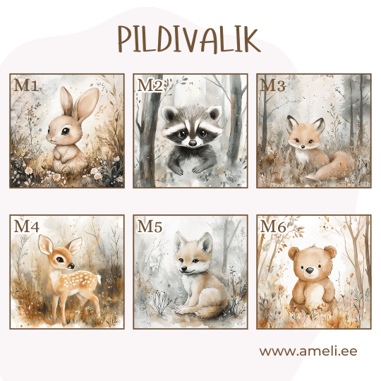 Puidust rahakassa - Pilt 10